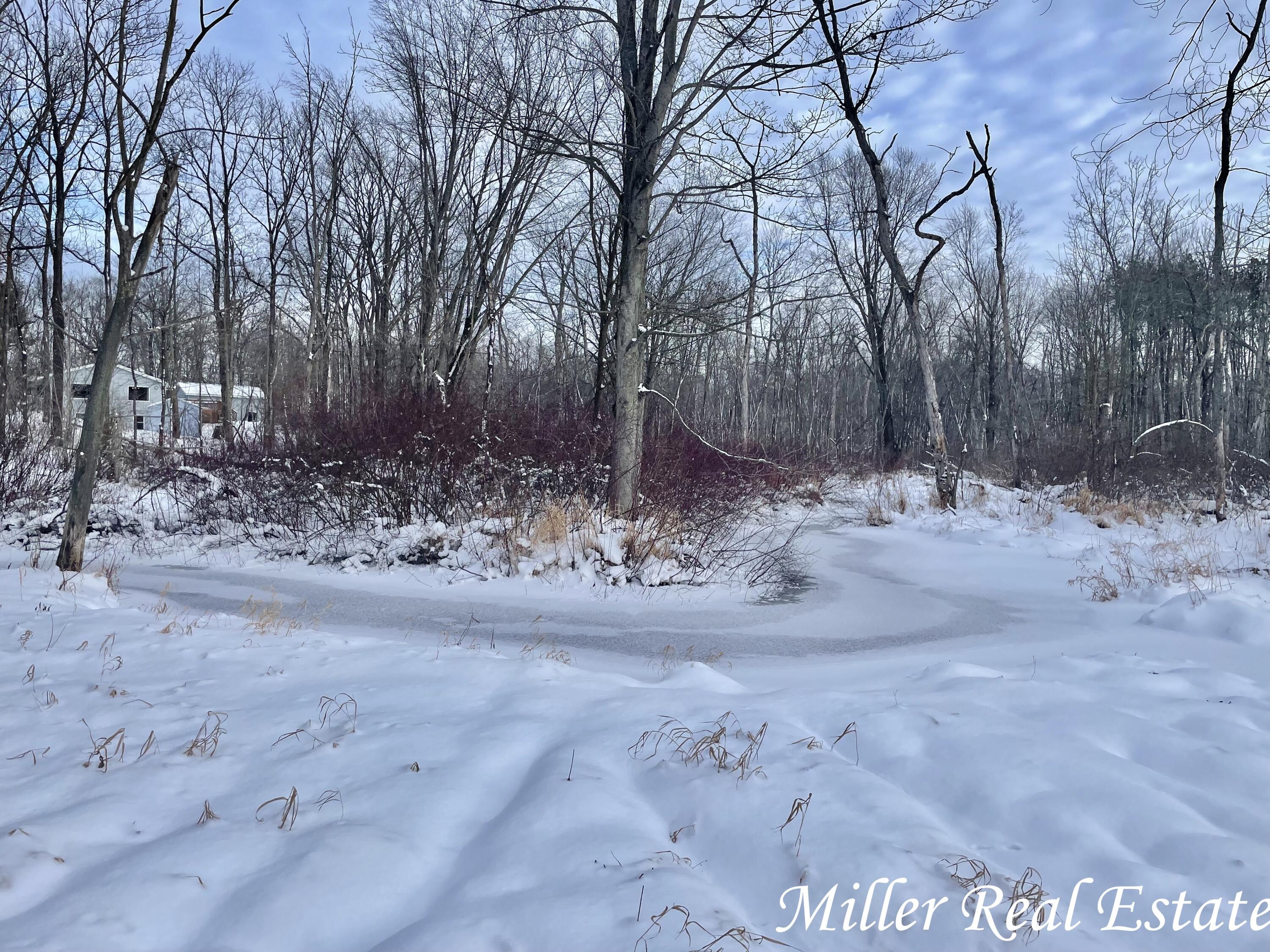 5401 Gun Lake Road Hastings, MI 49058 - Photo 3 of 20 MILLER MEANS SOLD!12