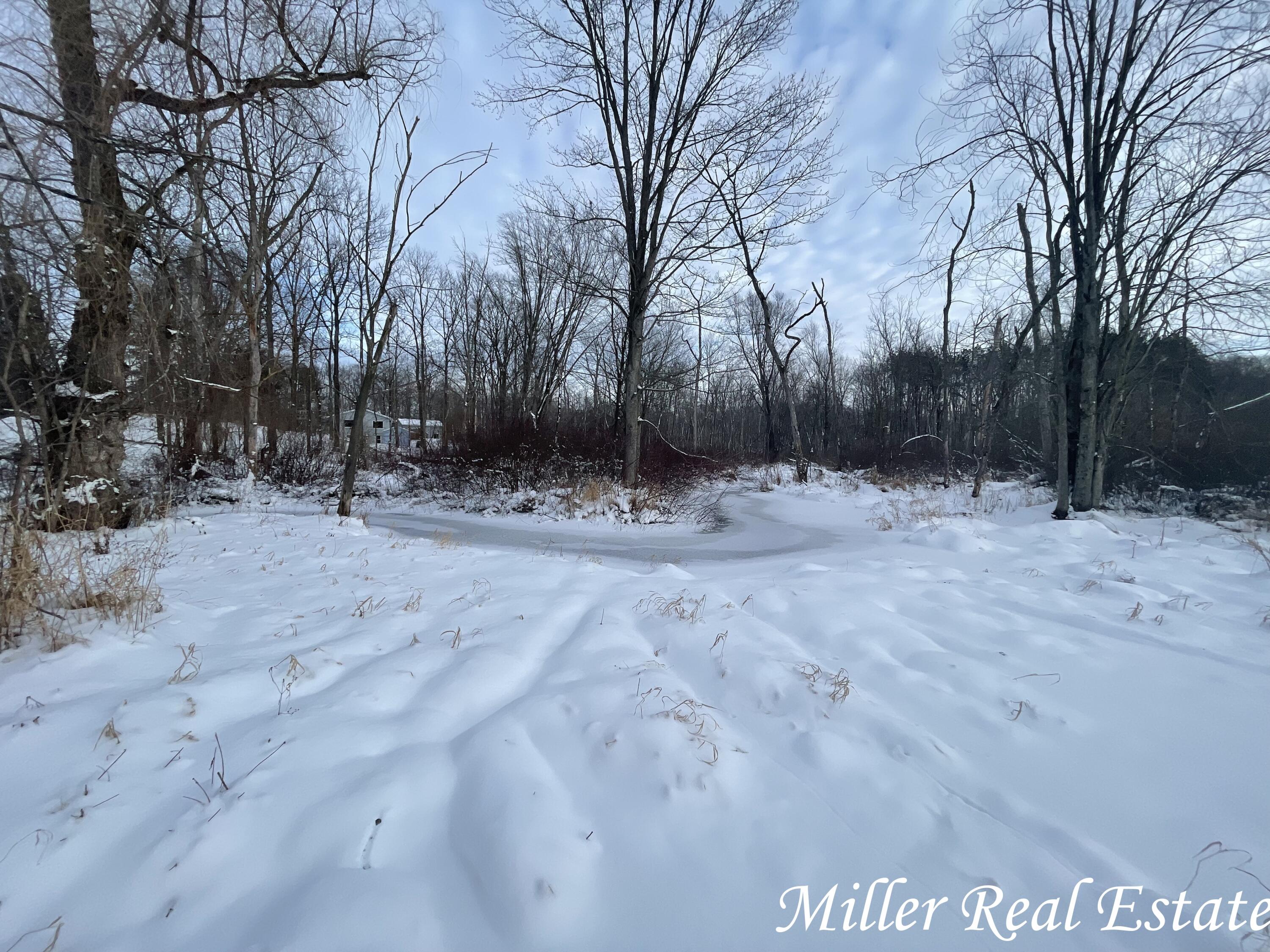 5401 Gun Lake Road Hastings, MI 49058 - Photo 4 of 20 MILLER MEANS SOLD!11