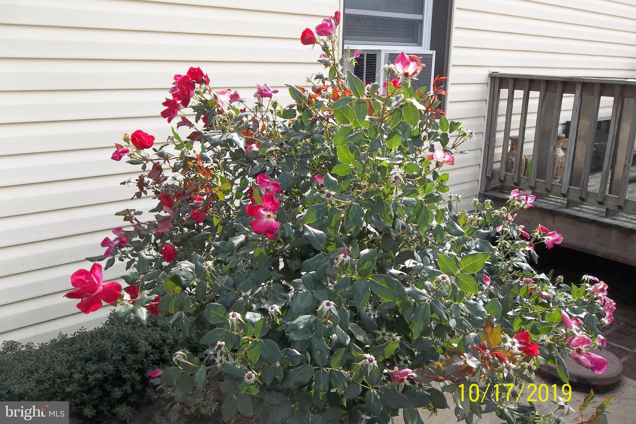 1243 East Randolph Road Silver Spring, MD 20904 - Photo 12 of 53