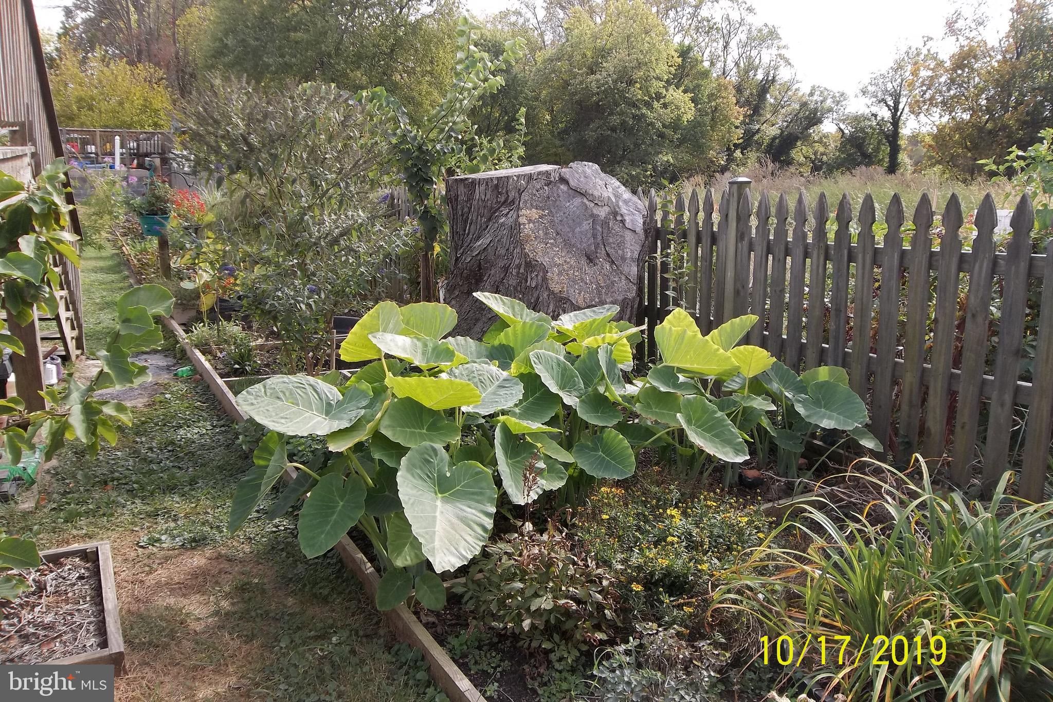 1243 East Randolph Road Silver Spring, MD 20904 - Photo 27 of 53