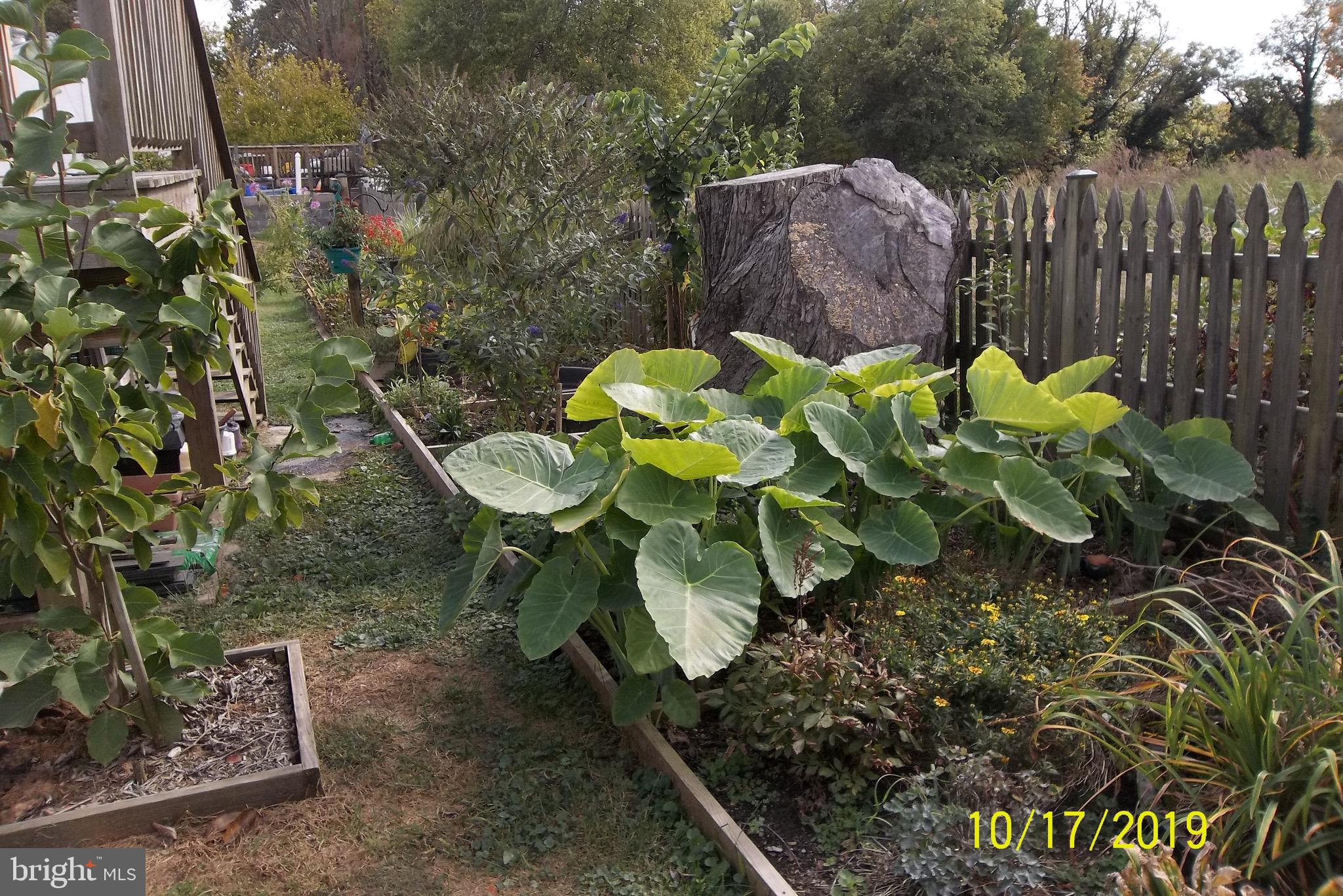 1243 East Randolph Road Silver Spring, MD 20904 - Photo 28 of 53