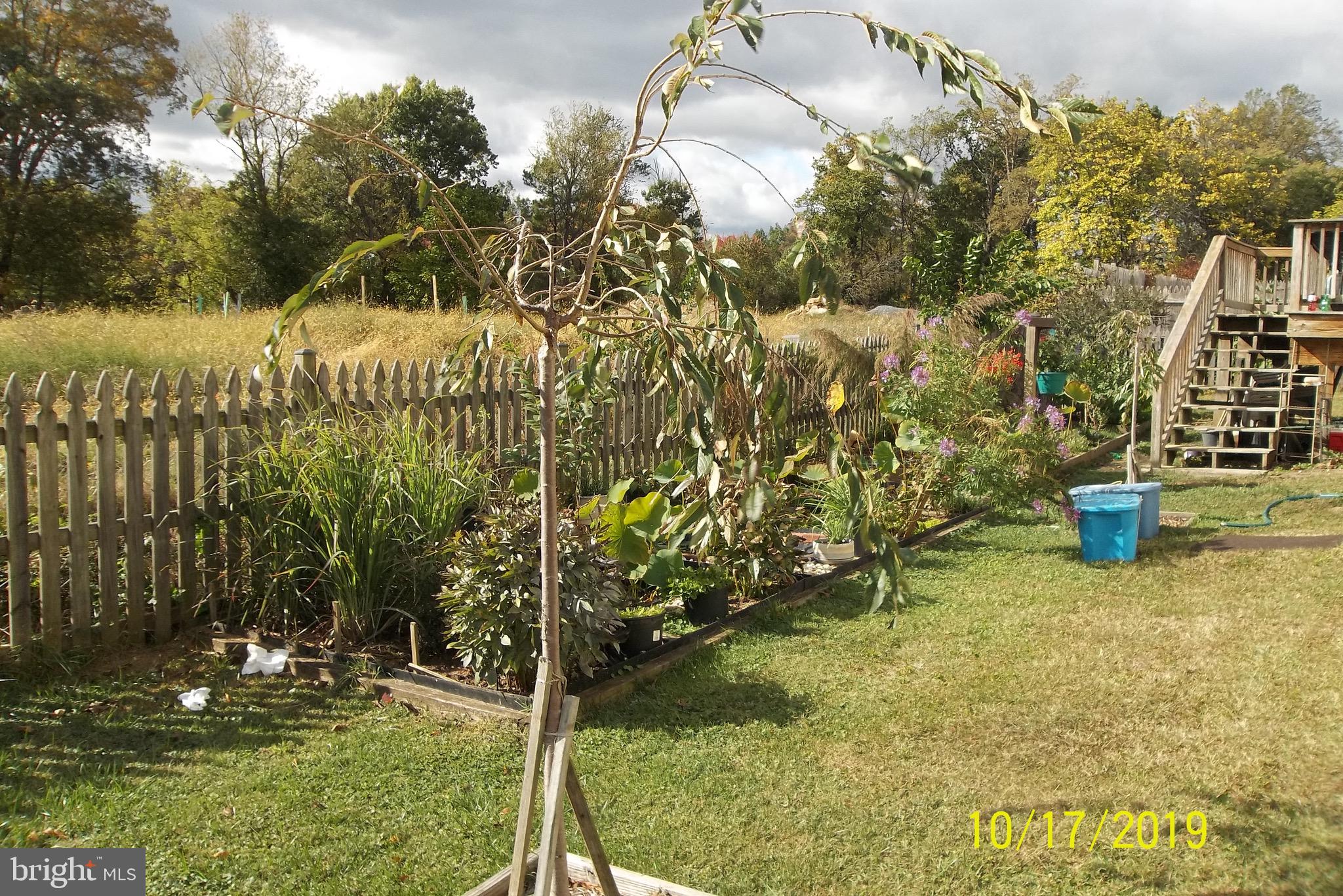 1243 East Randolph Road Silver Spring, MD 20904 - Photo 34 of 53