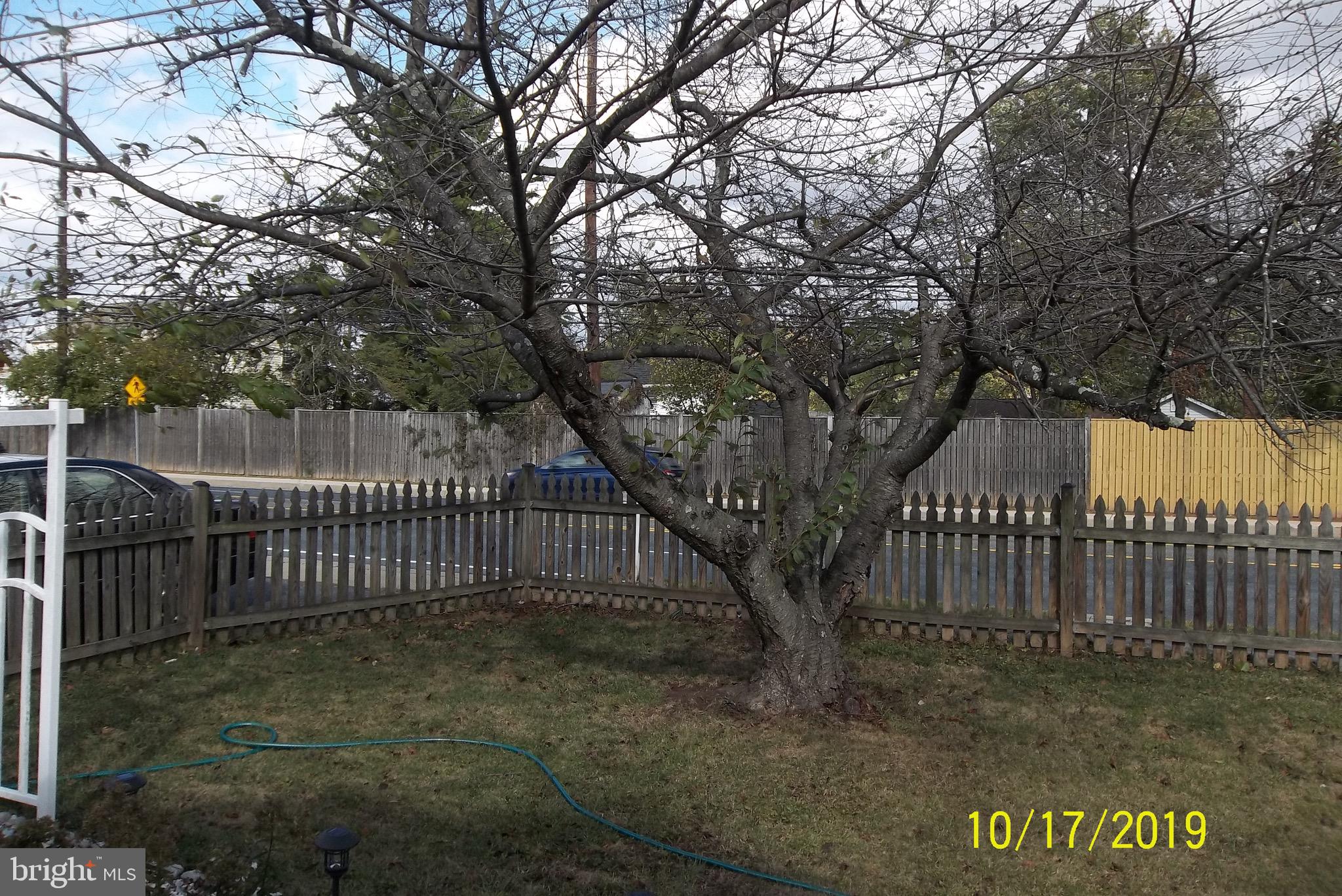 1243 East Randolph Road Silver Spring, MD 20904 - Photo 5 of 53