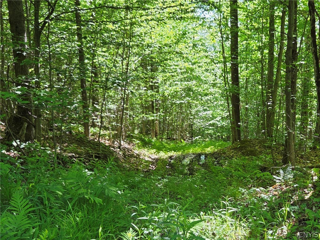 446 Nys Route Cuba, NY 14727 - Photo 42 of 47