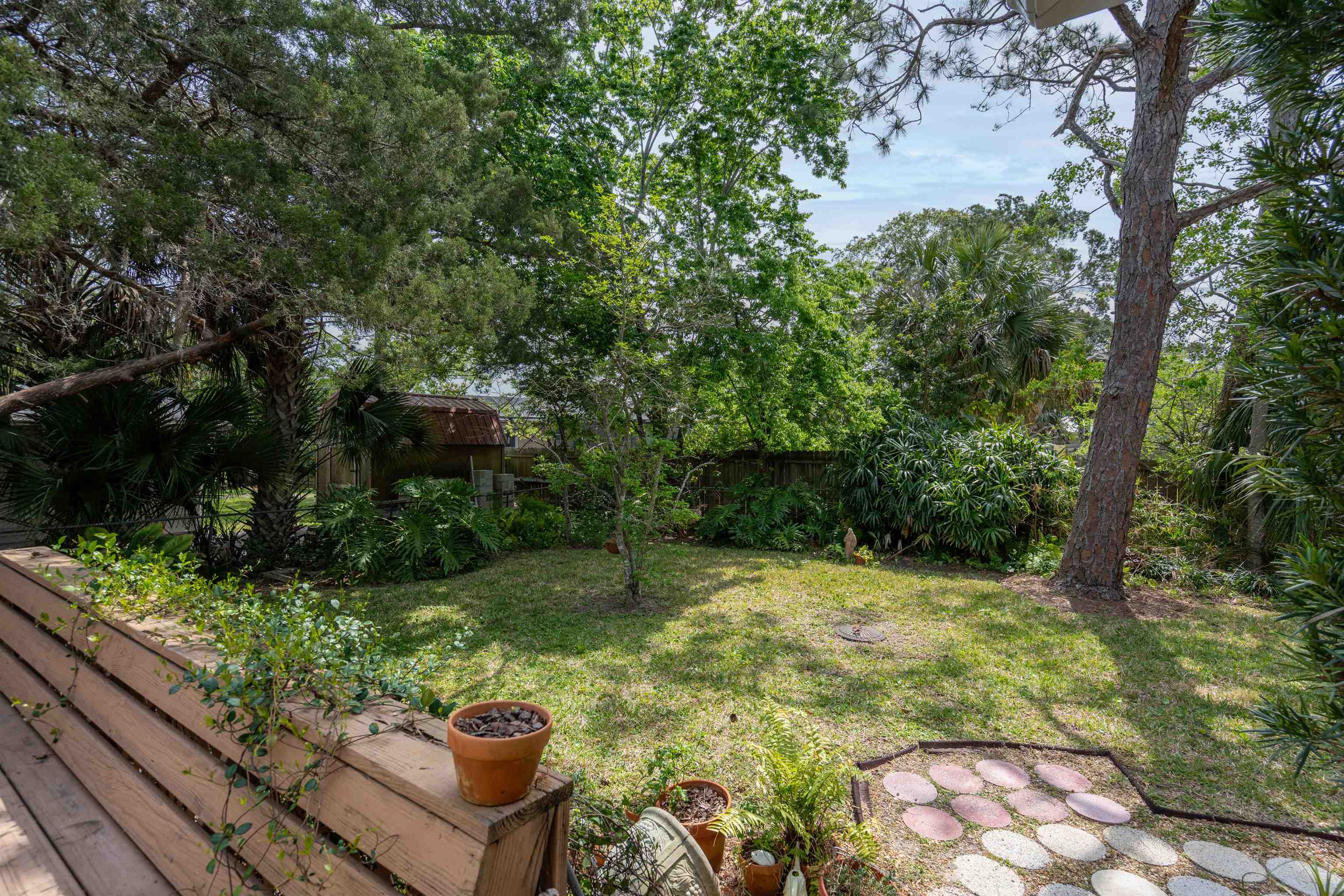 146 Menendez Road St. Augustine, FL 32080 - Photo 8 of 39 a view of a yard with plants