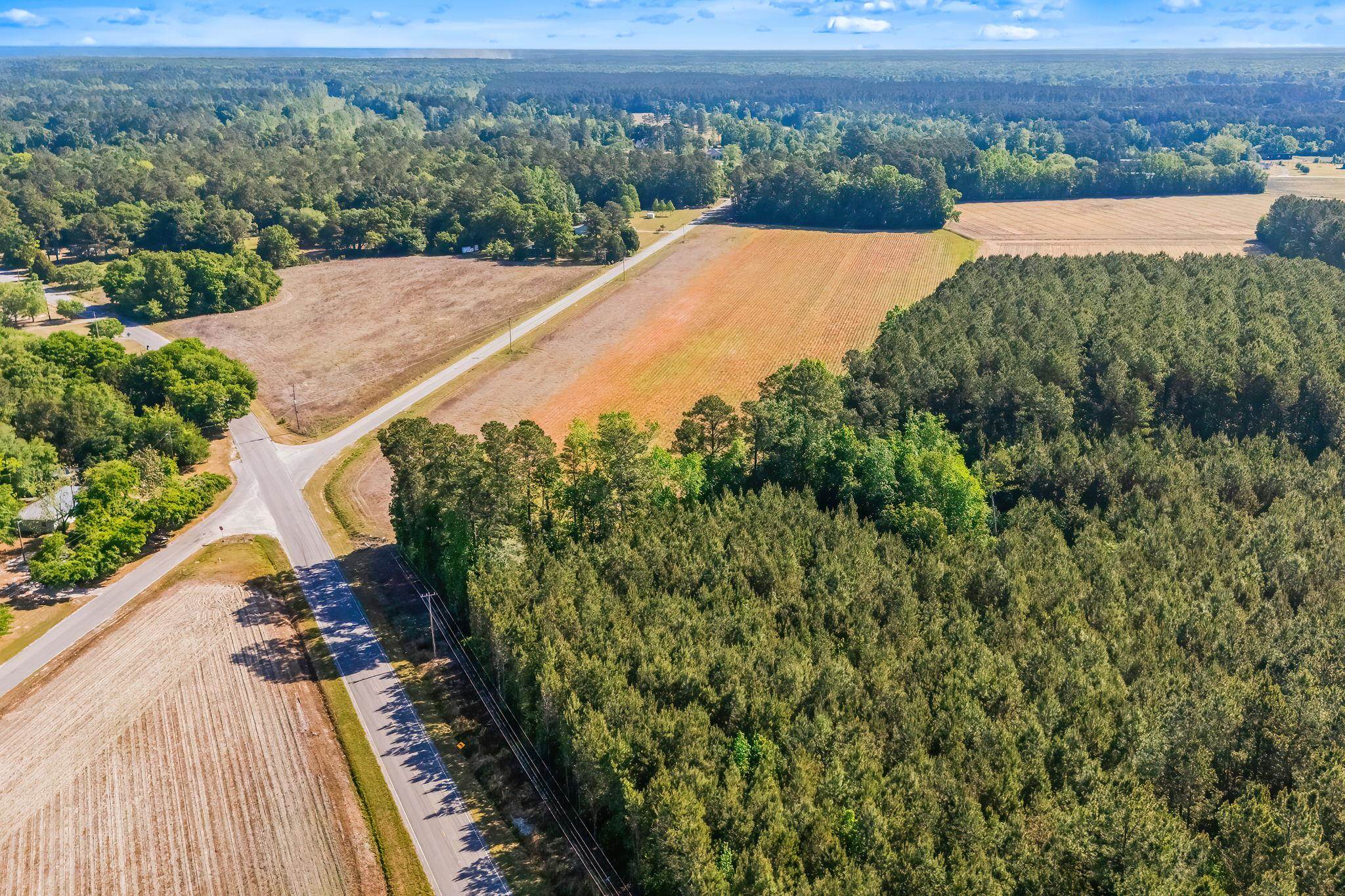 Tbd Ray Road Hemingway, SC 29554 - Photo 20 of 24