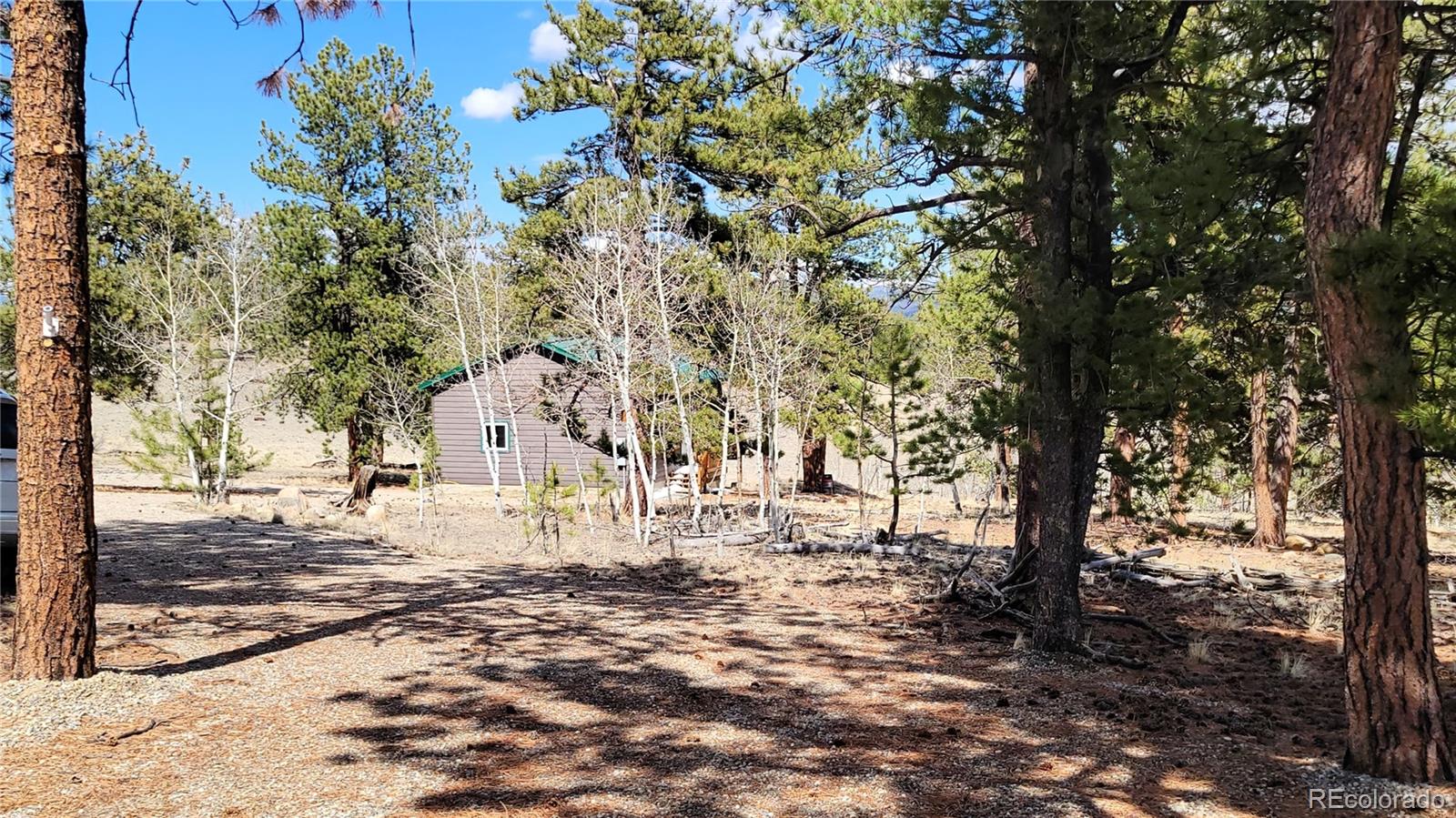 2115 Yellowstone Road Hartsel, CO 80449 - Photo 33 of 34