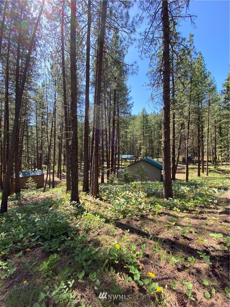 10 South Airstrip Road Twisp, WA 98856 - Photo 22 of 40 Gallery Image 22
