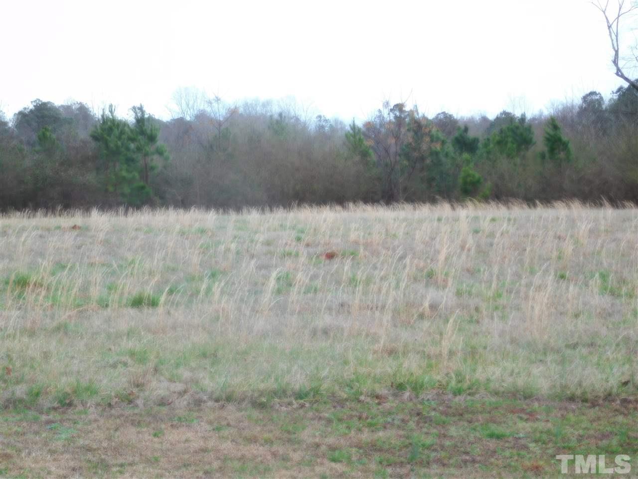 0 Rocky Cross Road Middlesex, NC 27557 - Photo 4 of 17