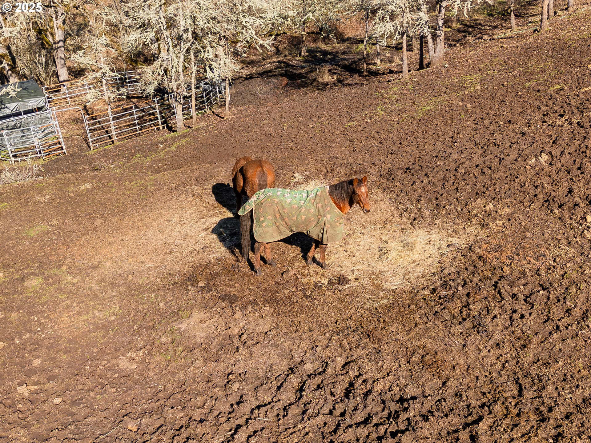 320 Cegavske Lane Roseburg, OR 97470 - Photo 38 of 45