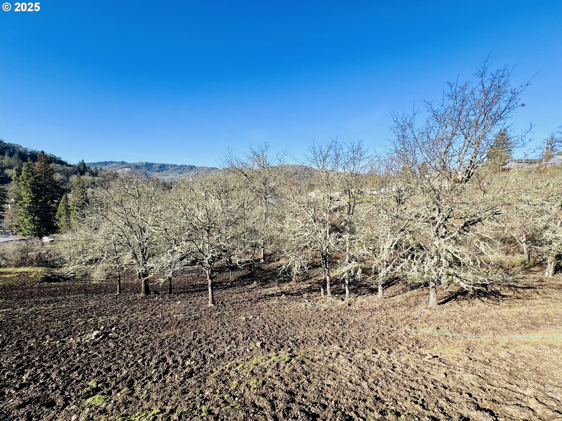 320 Cegavske Lane Roseburg, OR 97470 - Photo 40 of 45