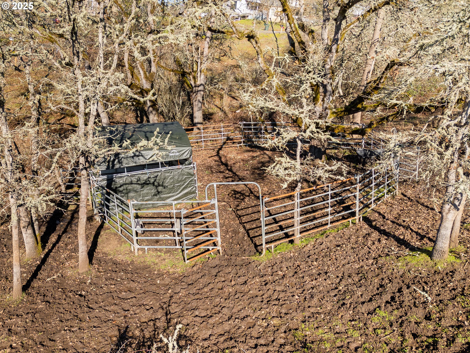 320 Cegavske Lane Roseburg, OR 97470 - Photo 4 of 45