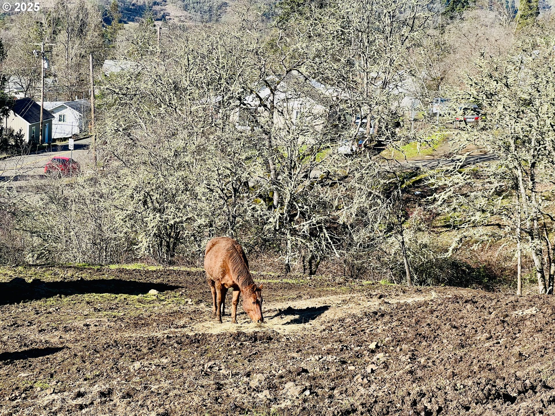 320 Cegavske Lane Roseburg, OR 97470 - Photo 43 of 45