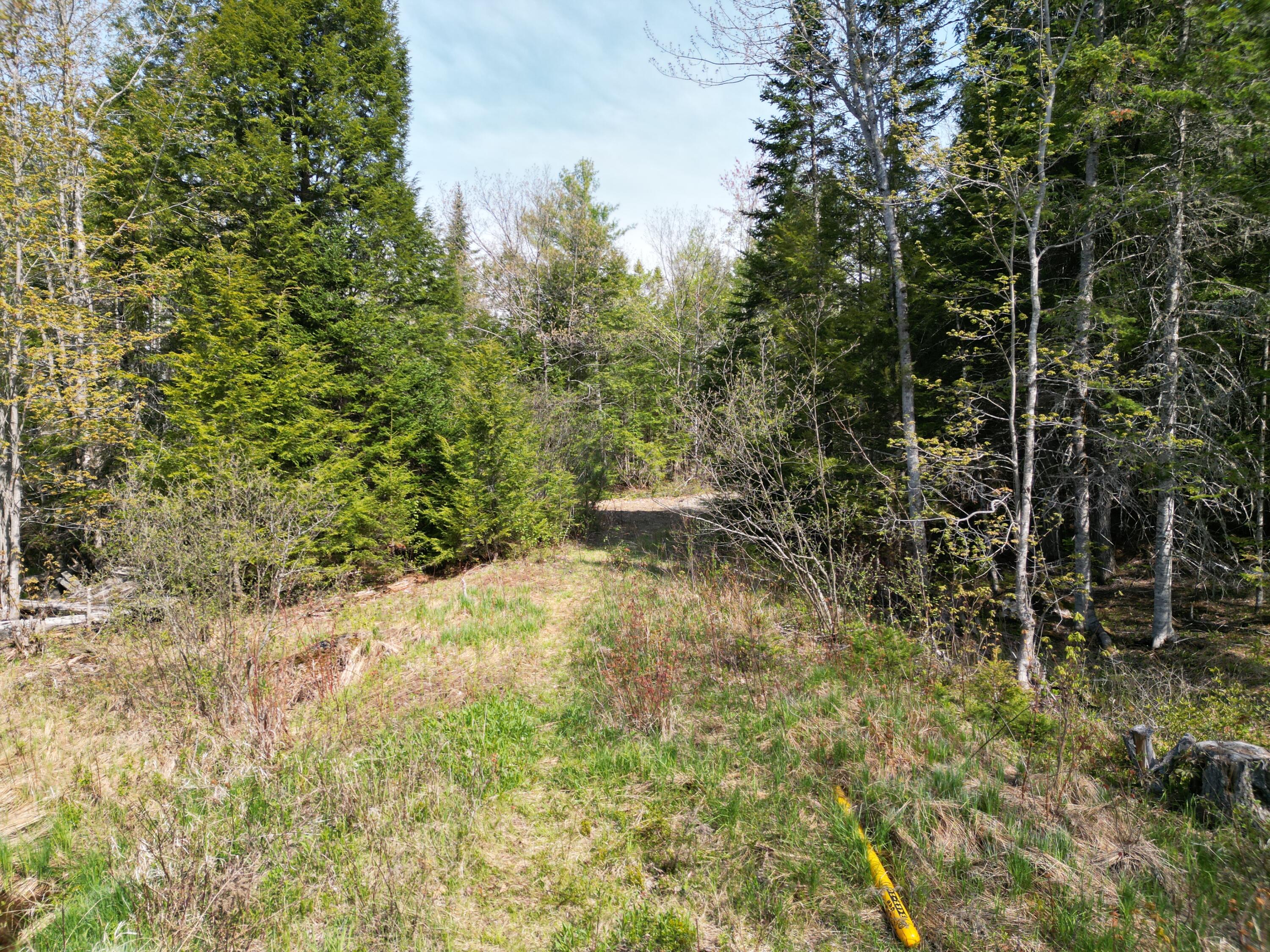 Lot 2 Off Mattamiscontis Road Howland, ME 04448 - Photo 11 of 16 DJI_0535