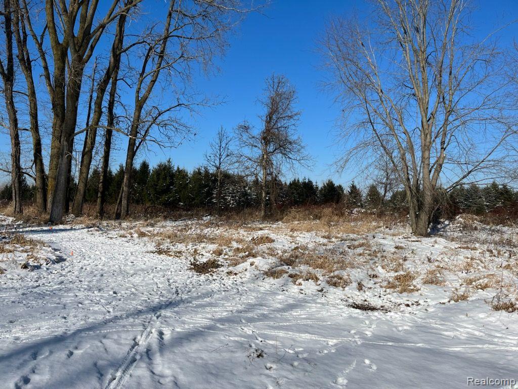 20311 Waldo Road Chelsea, MI 48118 - Photo 19 of 27