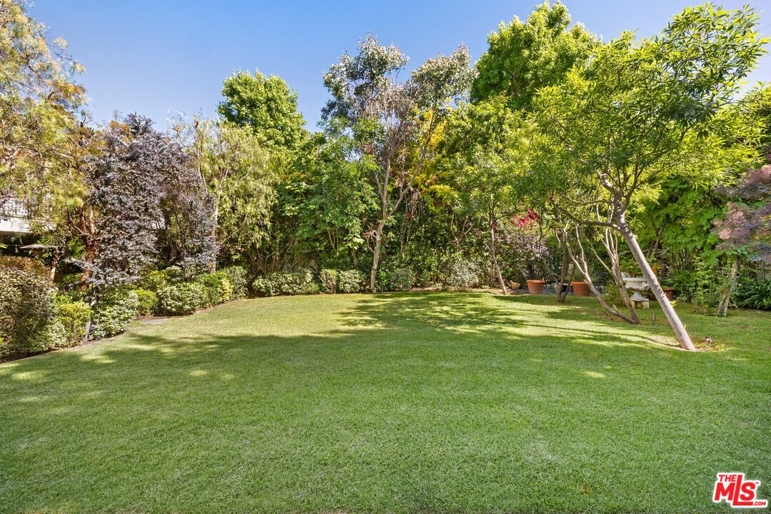 625 Foothill Road Beverly Hills, CA 90210 - Photo 10 of 22 a view of a trees in a yard