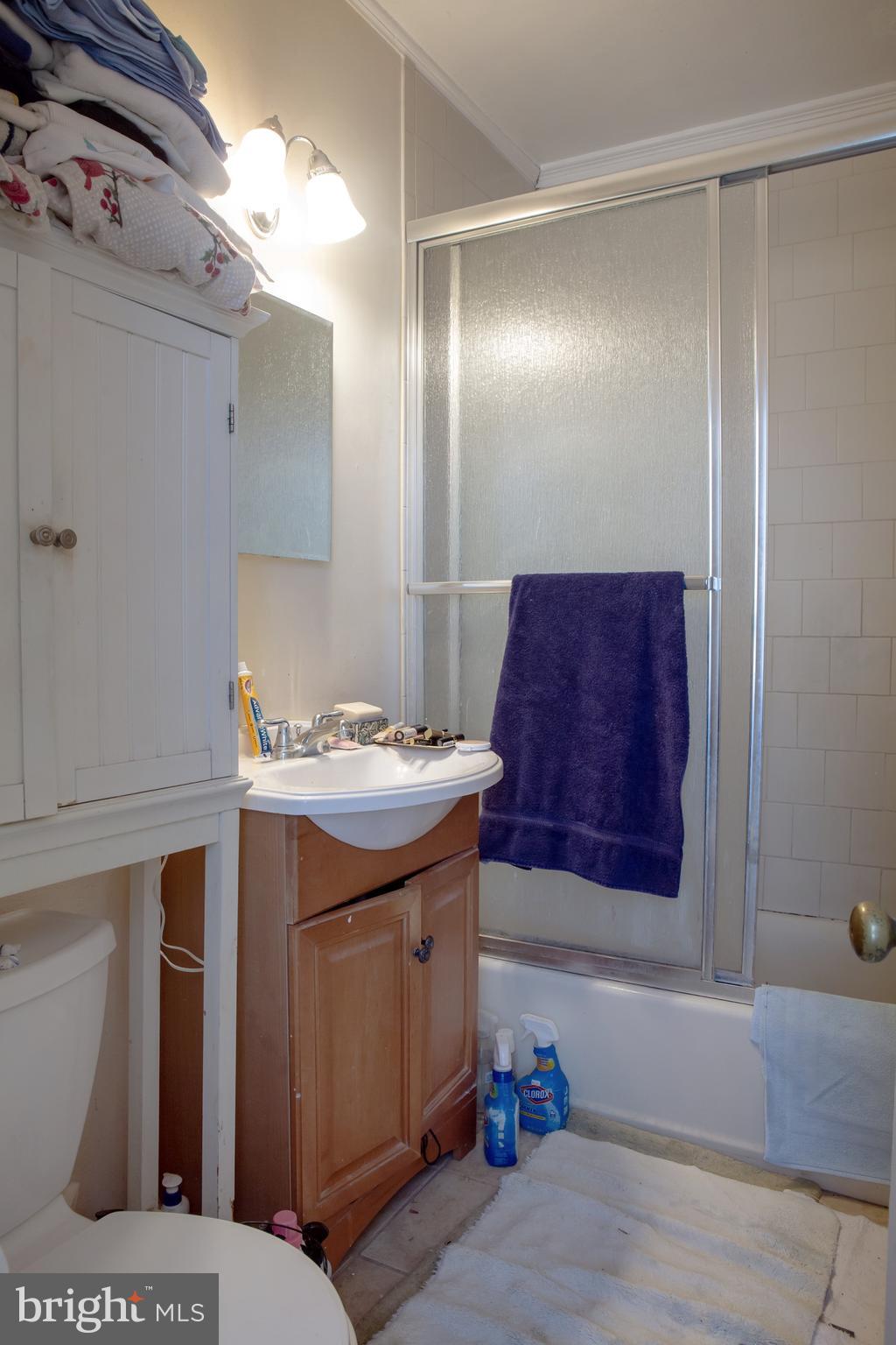 215 5th Street Southeast Washington, DC 20003 - Photo 25 of 53 Upper Level Unit Full Bath South