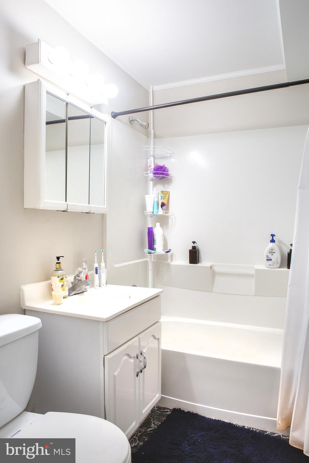 215 5th Street Southeast Washington, DC 20003 - Photo 38 of 53 Lower Level Unit Full Bath East