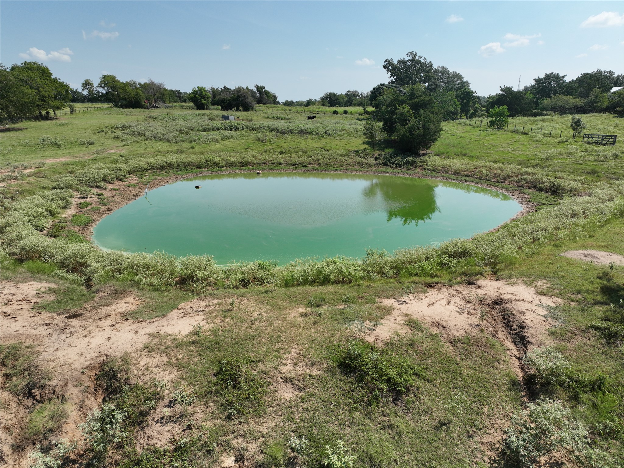 0 Thielemann Road Industry, TX 78944 - Photo 12 of 19 Tank