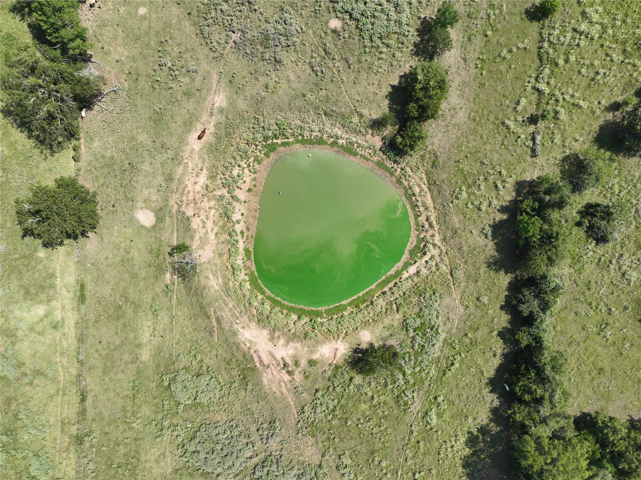 0 Thielemann Road Industry, TX 78944 - Photo 6 of 19 Tank