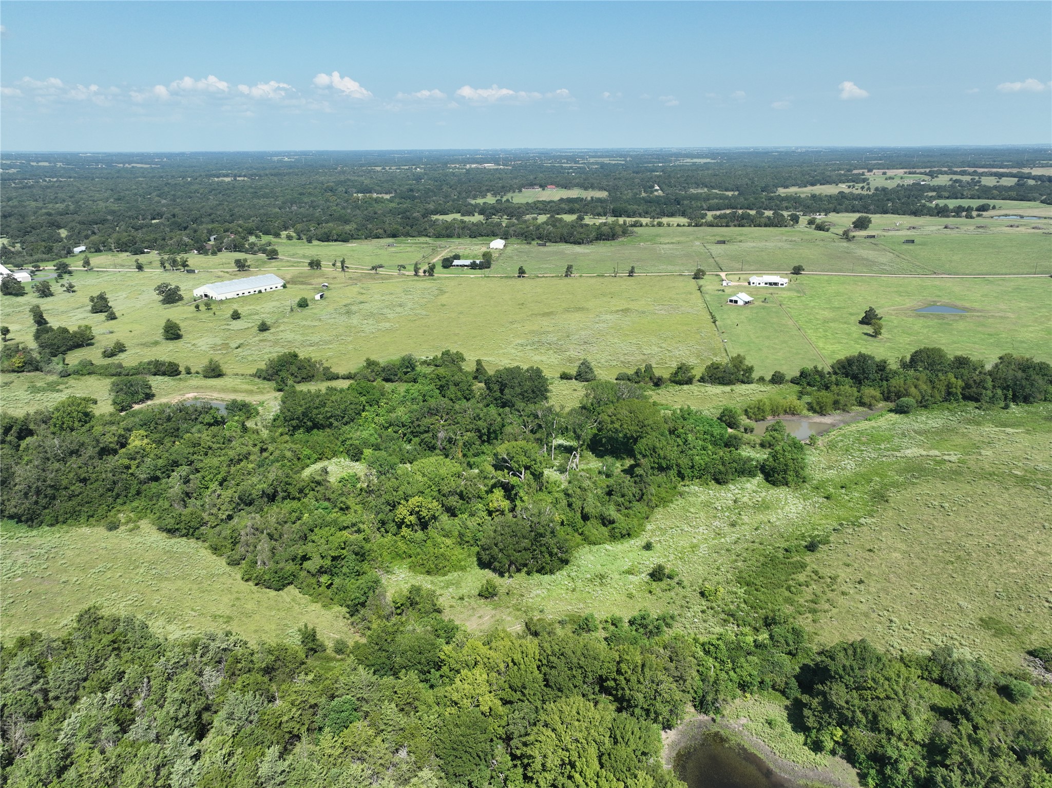 0 Thielemann Road Industry, TX 78944 - Photo 9 of 19 Pecan and Cedar Trees