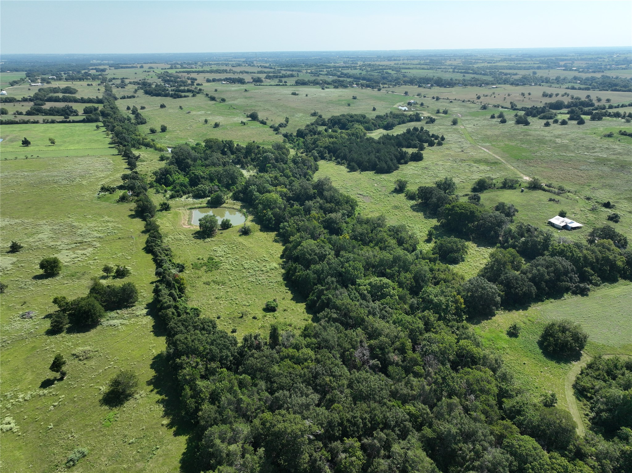 0 Thielemann Road Industry, TX 78944 - Photo 10 of 19 Tree Coverage