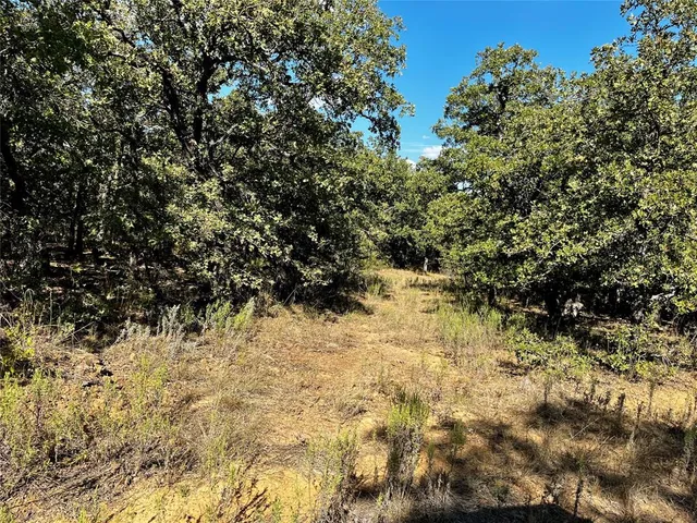 a view of a yard covered in snow