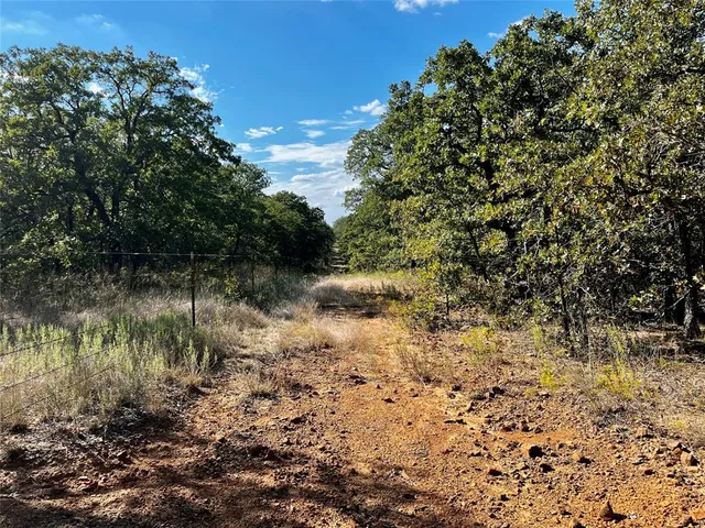 a view of a lake with a tree