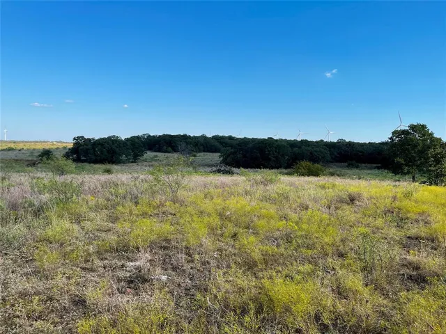 a view of a field of grass and trees