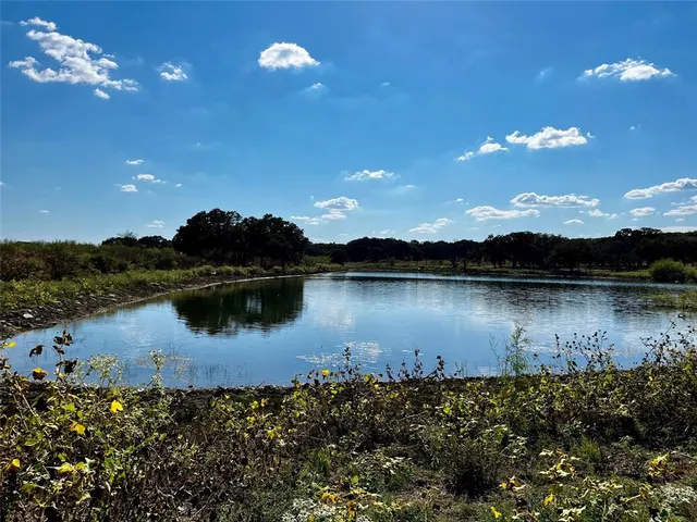 a view of a lake in middle of a forest