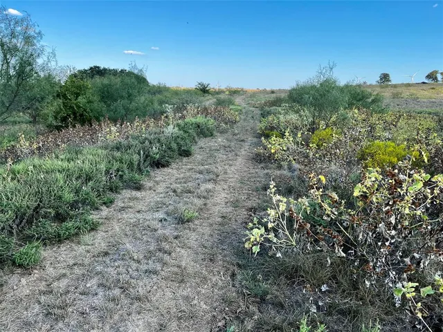 a view of a yard with an tree