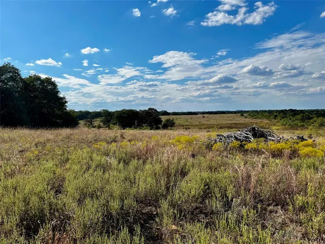 a view of a yard with an outdoor space