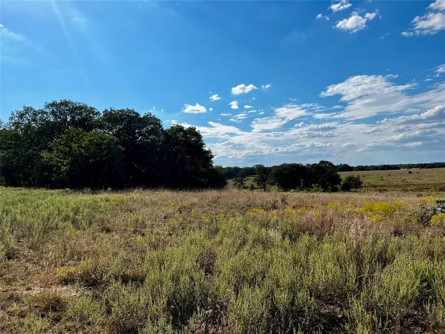 a view of backyard with green space