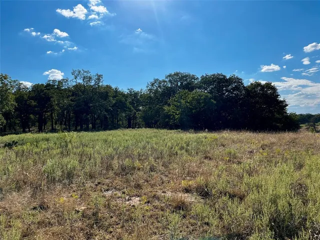 a view of a lake from a yard