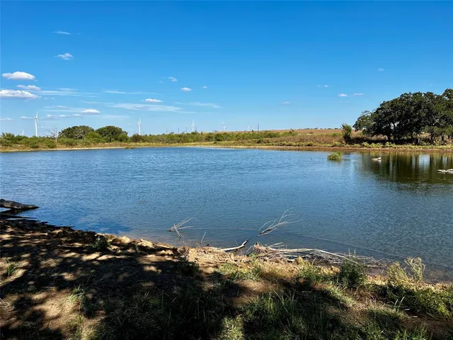 a view of a room with a lot of flower and wooden floor