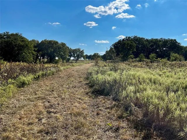 a view of a green field with lots of bushes