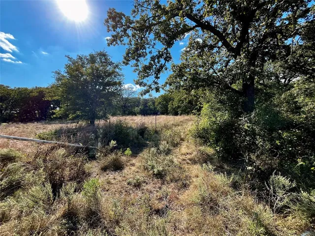 a view of mountain with tree in the background