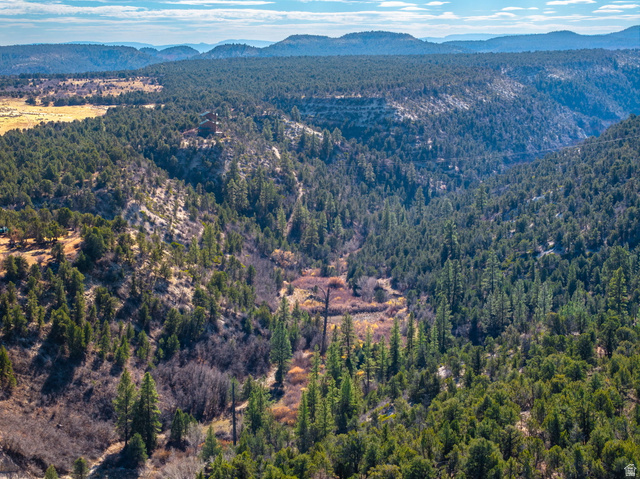 6 South N Frk Road Orderville, UT 84758 - Photo 65 of 68 Aerial view of property and surrounding area featuring a mountainous background