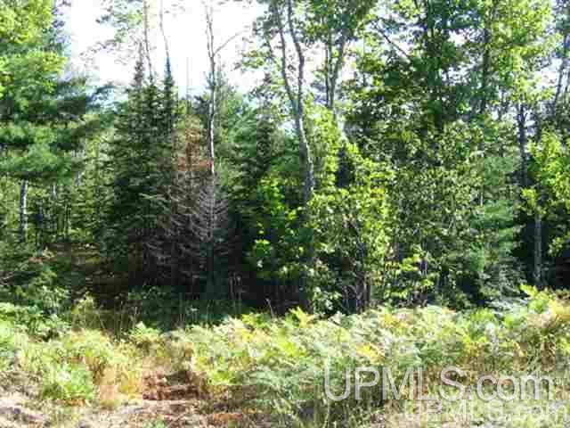 Tbd Seven Mile Point (16) Road Allouez, MI 49805 - Photo 46 of 50