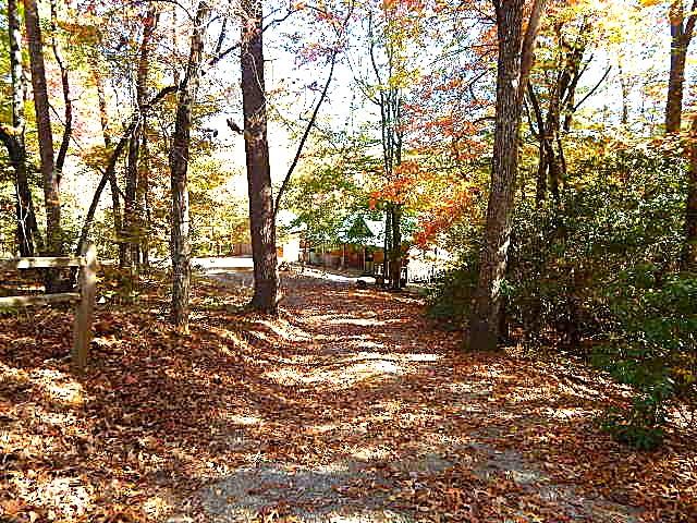 533 Mangum's Trail Blue Ridge, GA 30513 - Photo 27 of 29 Gallery Image 27