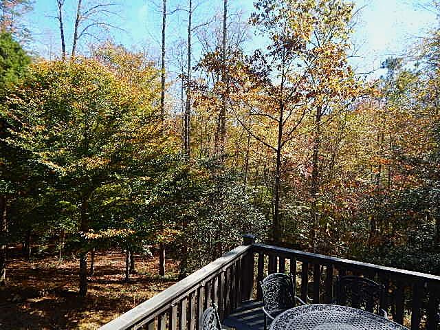 533 Mangum's Trail Blue Ridge, GA 30513 - Photo 28 of 29 Gallery Image 28