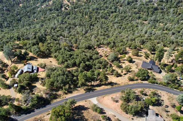 a view of a forest with mountains in the background