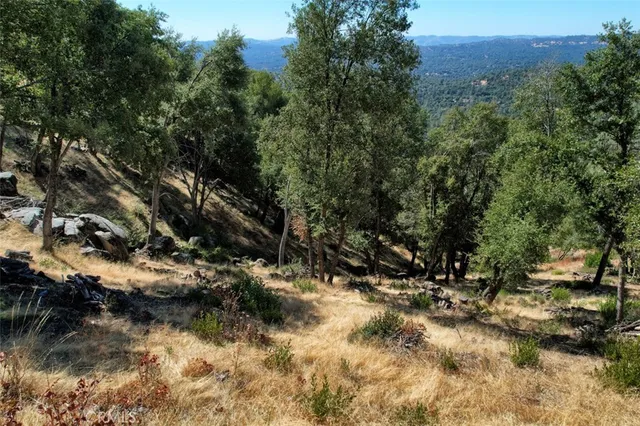 a view of a city with lush green forest