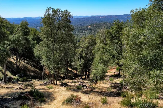 a view of a lot of trees and mountains