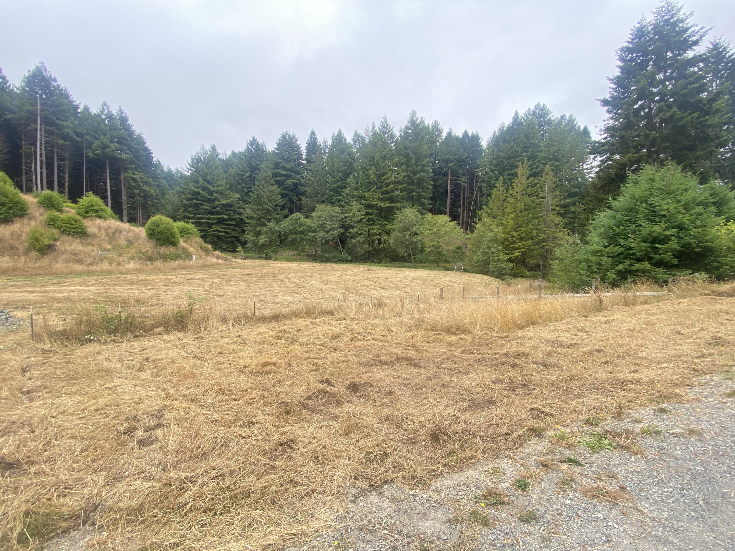 3 Pomeroy Hollow Road Freshwater, CA 95503 - Photo 1 of 12