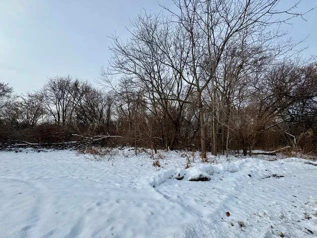 a view of covered with snow