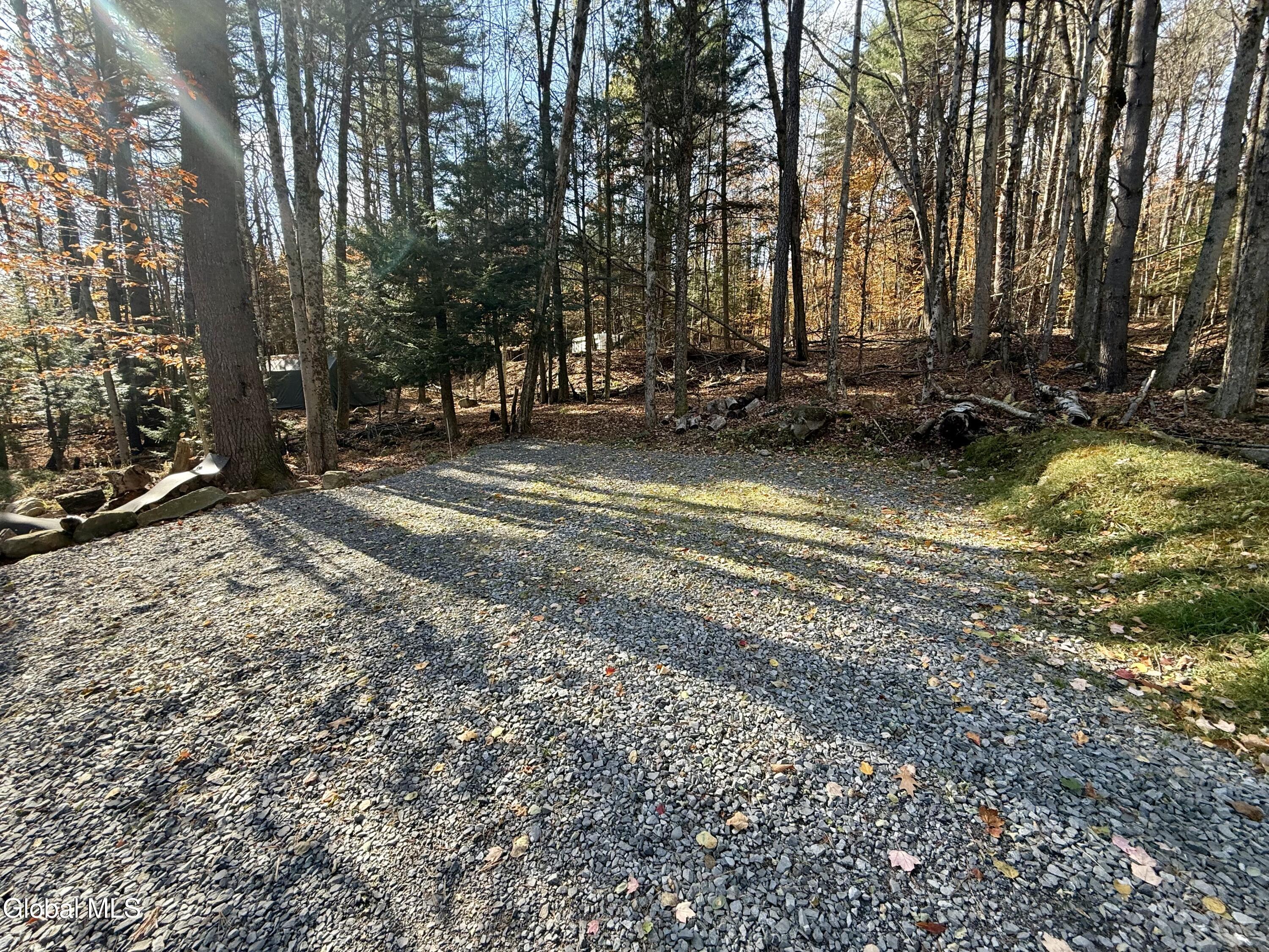 319 Snow Road Day, NY 12835 - Photo 9 of 25 IMG_1784