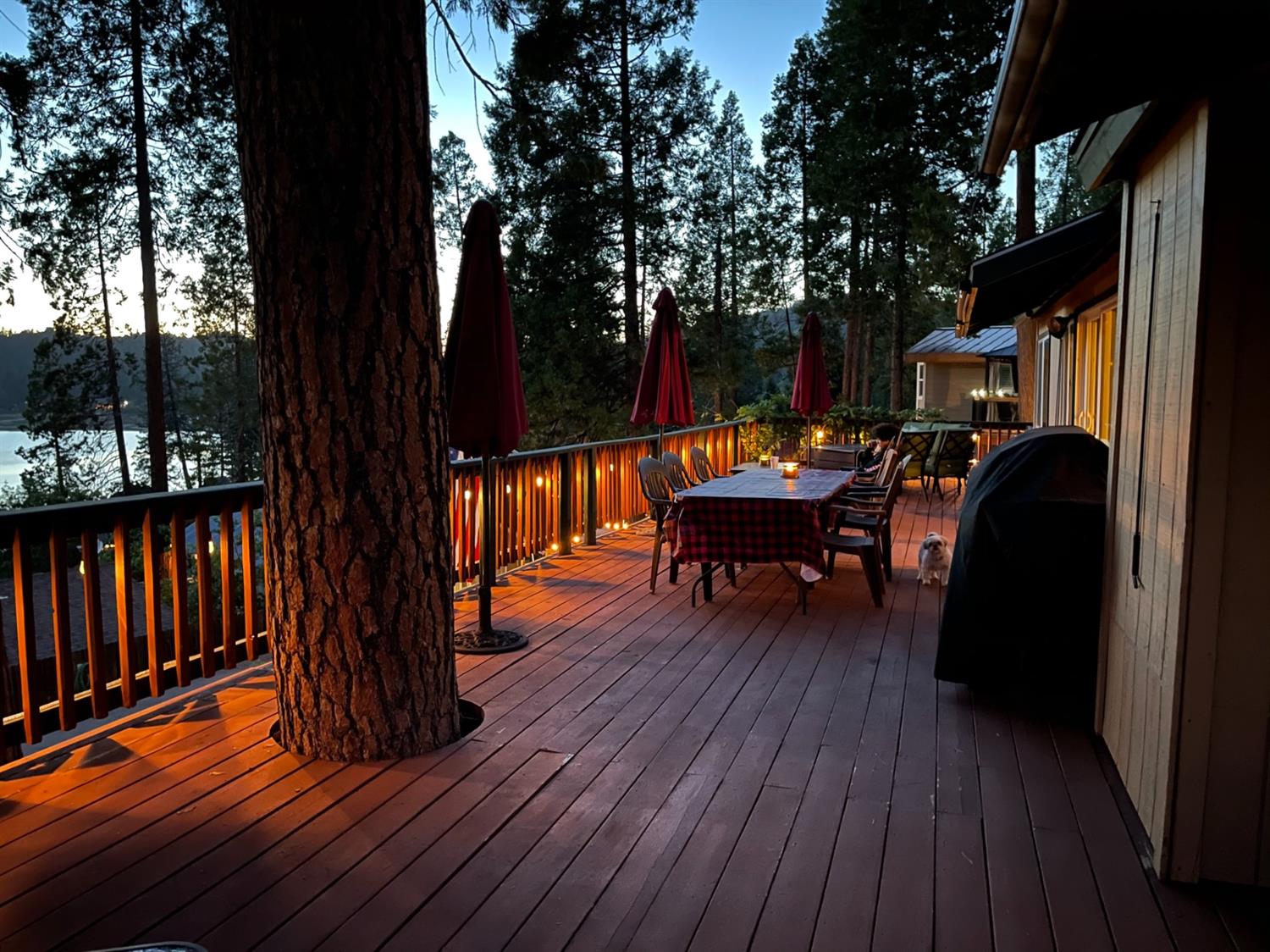 53696 Acorn Road Bass Lake, CA 93604 - Photo 10 of 69 Gallery Image 10
