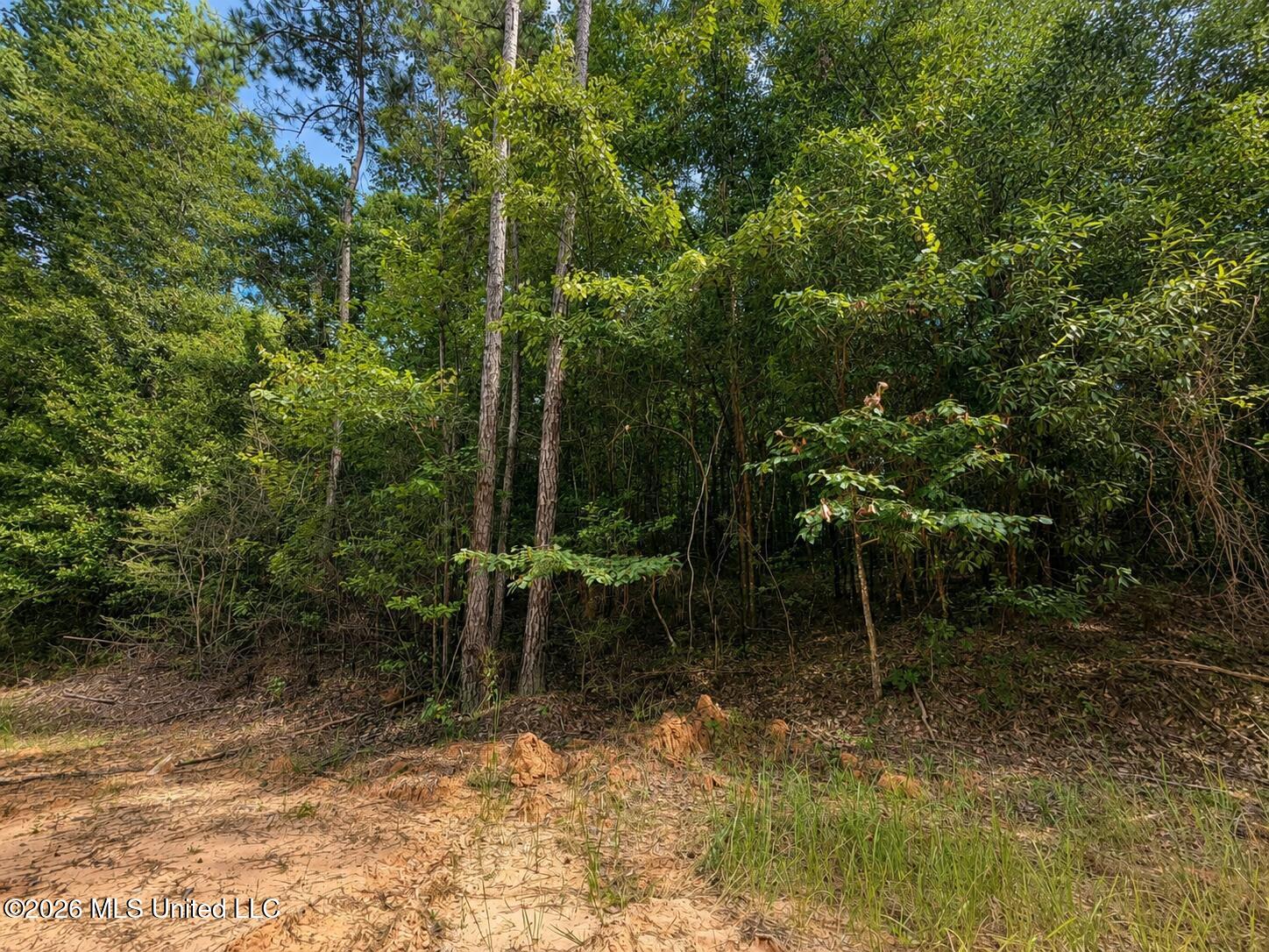 4.39-acres Man Moulds Road Lucedale, MS 39452 - Photo 8 of 15 land (10)