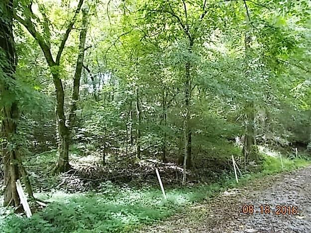 1995 Ball Hollow Road Pulaski, TN 38478 - Photo 8 of 23 Gallery Image 8